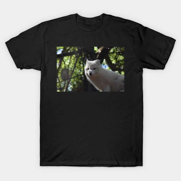 Arctic Fox T-Shirt by MarieDarcy